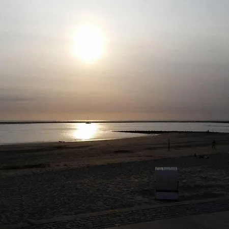 Crab Comfortable Borkum